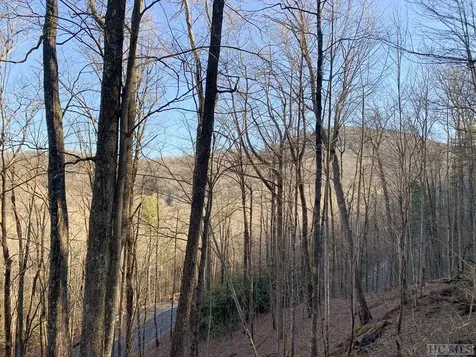 Lot 13 Glencove Drive Cashiers NC 28717