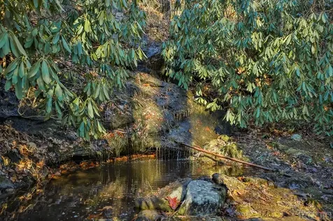 159 Webb Branch Road Highlands NC 28741