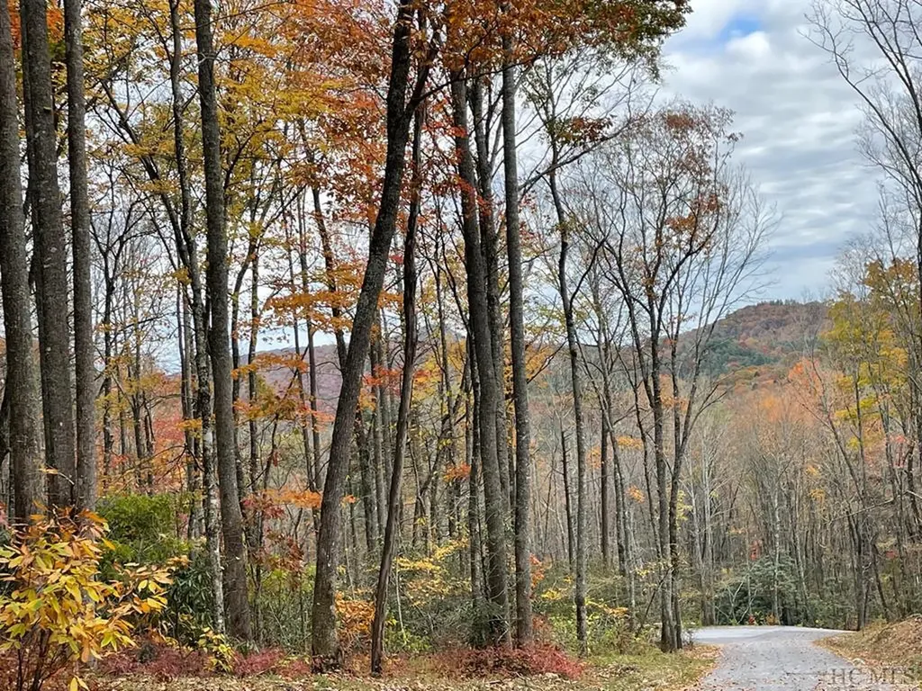 Lot 7 Glencove Drive Cashiers NC 28717