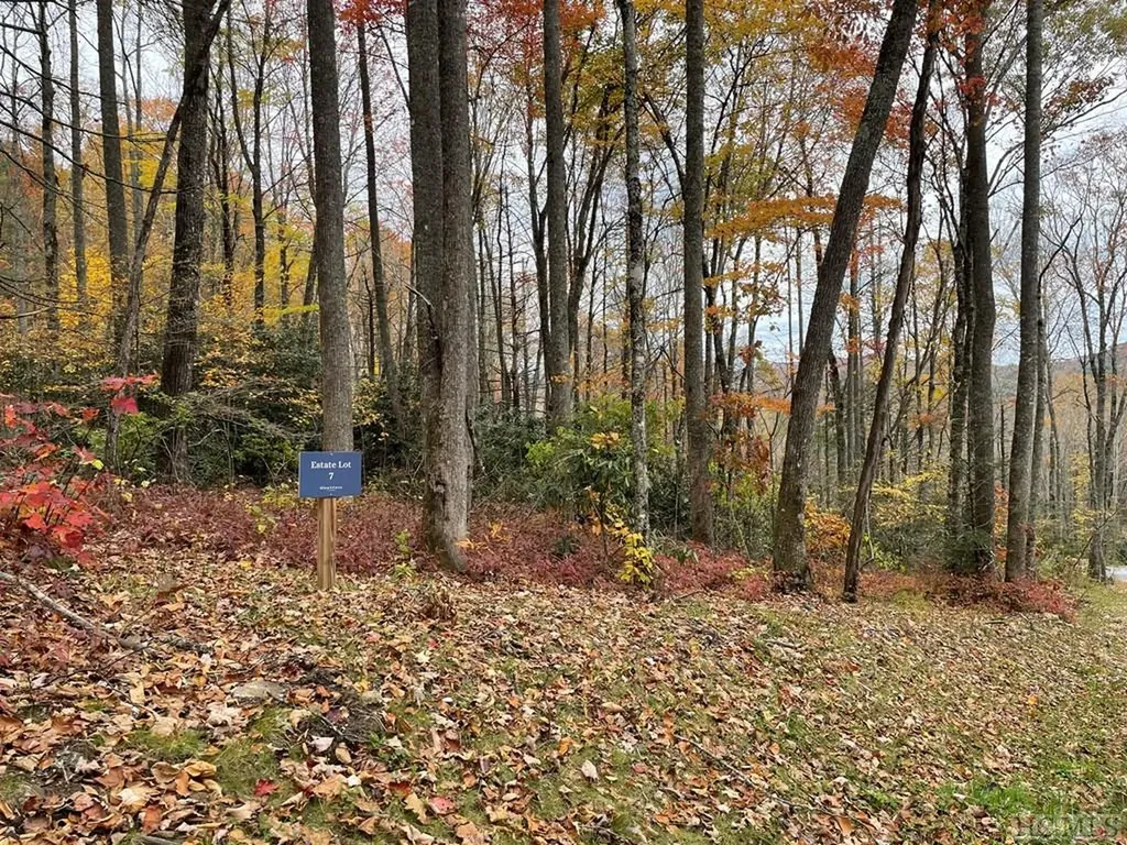Lot 7 Glencove Drive Cashiers NC 28717