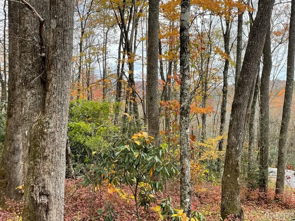 Lot 7 Glencove Drive Cashiers NC 28717