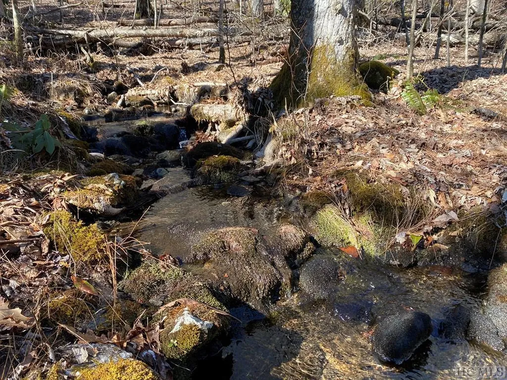 Lot 7 Glencove Drive Cashiers NC 28717