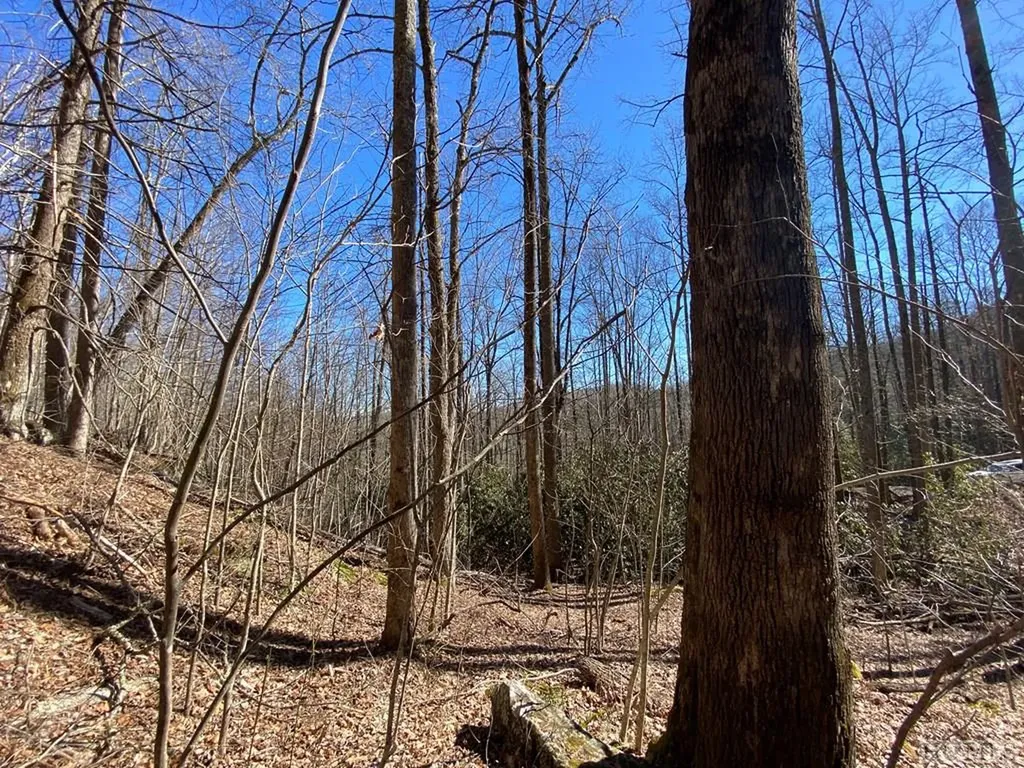 Lot 7 Glencove Drive Cashiers NC 28717