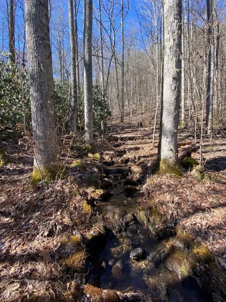 Lot 7 Glencove Drive Cashiers NC 28717