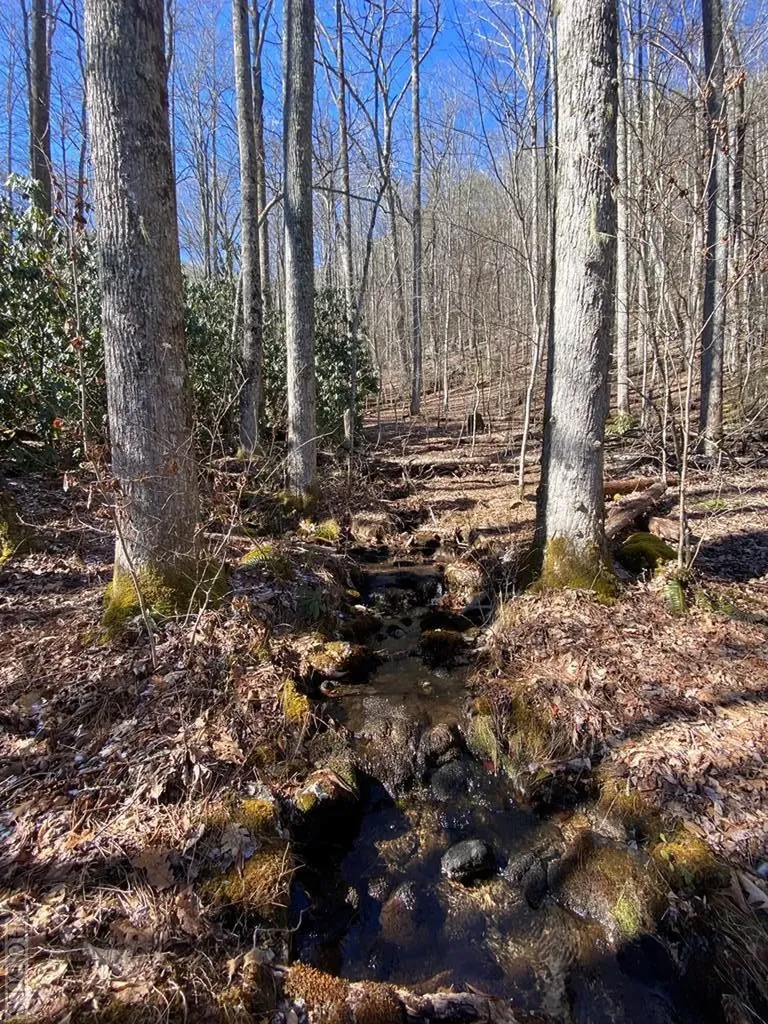 Lot 7 Glencove Drive Cashiers NC 28717