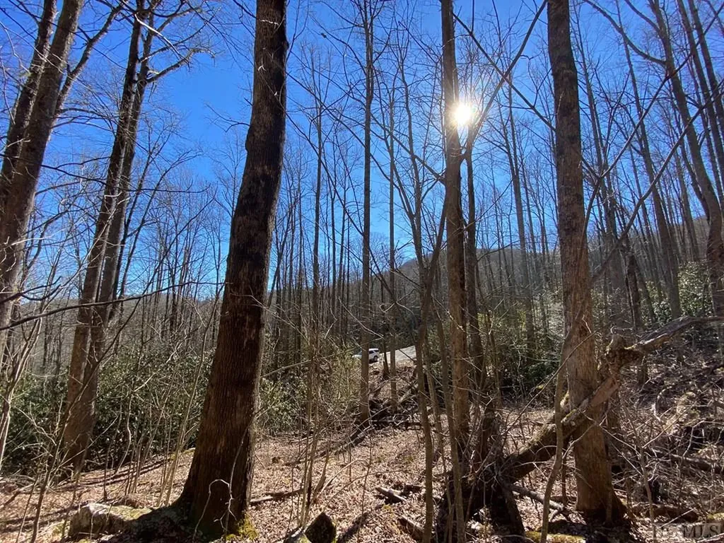 Lot 7 Glencove Drive Cashiers NC 28717