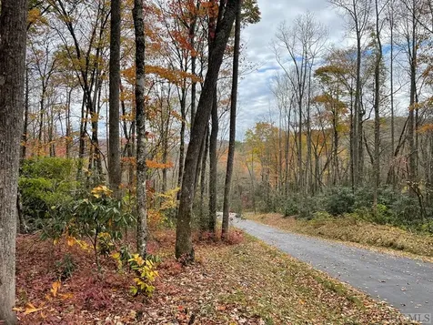 Lot 7 Glencove Drive Cashiers NC 28717