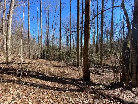 Lot 7 Glencove Drive Cashiers NC 28717