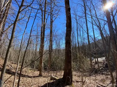 Lot 7 Glencove Drive Cashiers NC 28717