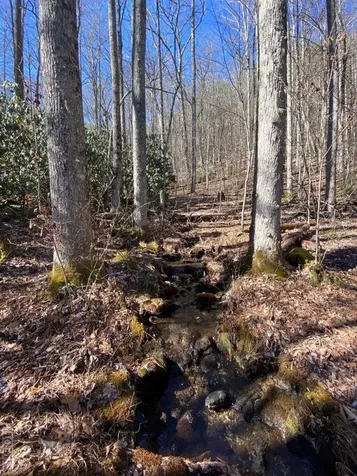 Lot 7 Glencove Drive Cashiers NC 28717