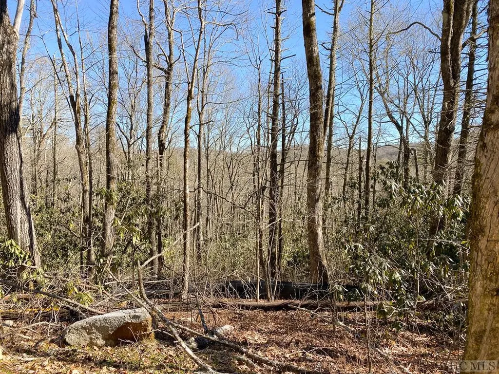 Lot 10 Glencove Drive Cashiers NC 28717
