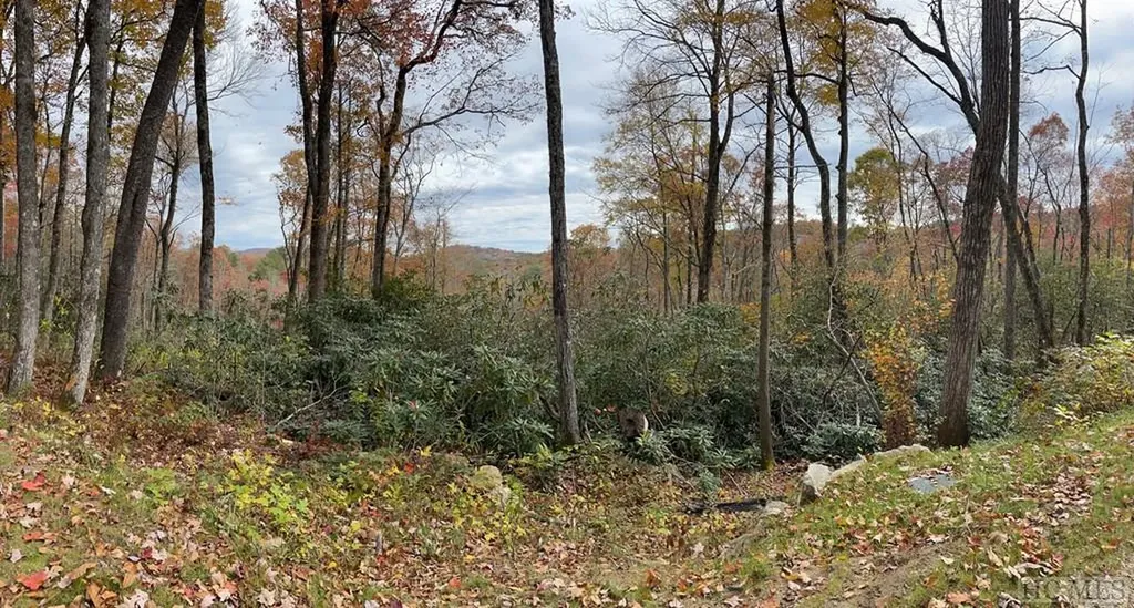 Lot 10 Glencove Drive Cashiers NC 28717