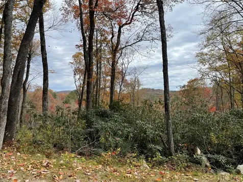 Lot 10 Glencove Drive Cashiers NC 28717