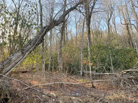 Lot 10 Glencove Drive Cashiers NC 28717
