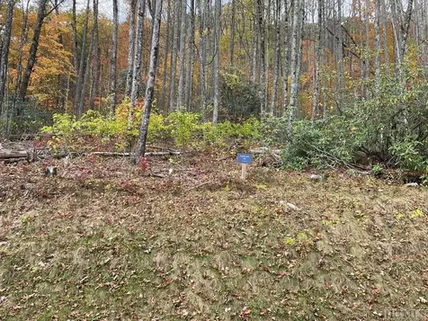 Lot 10 Glencove Drive Cashiers NC 28717