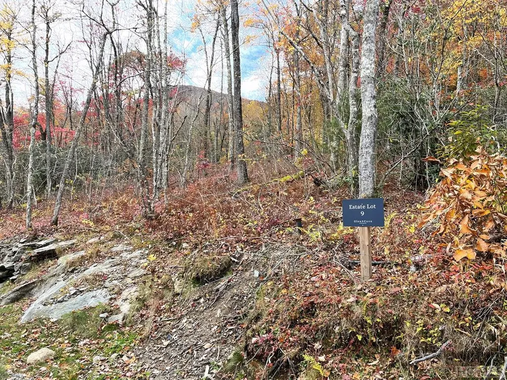 Lot 9 Glencove Drive Cashiers NC 28717