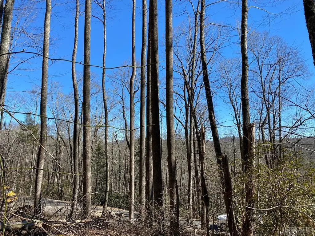 Lot 9 Glencove Drive Cashiers NC 28717