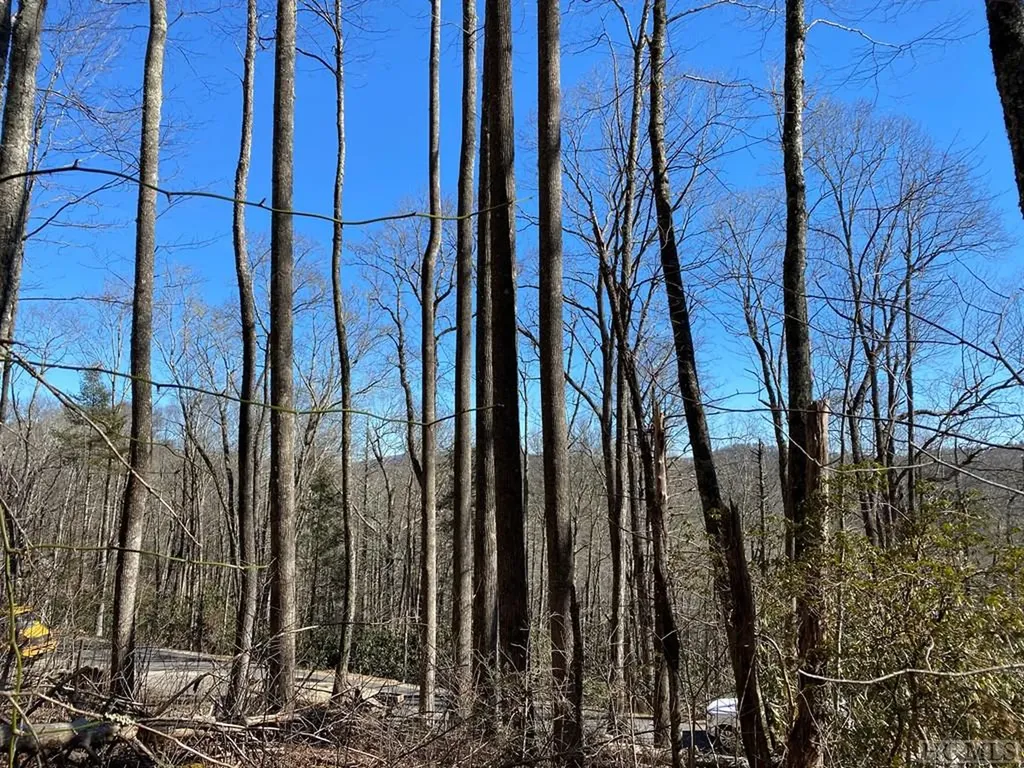 Lot 9 Glencove Drive Cashiers NC 28717