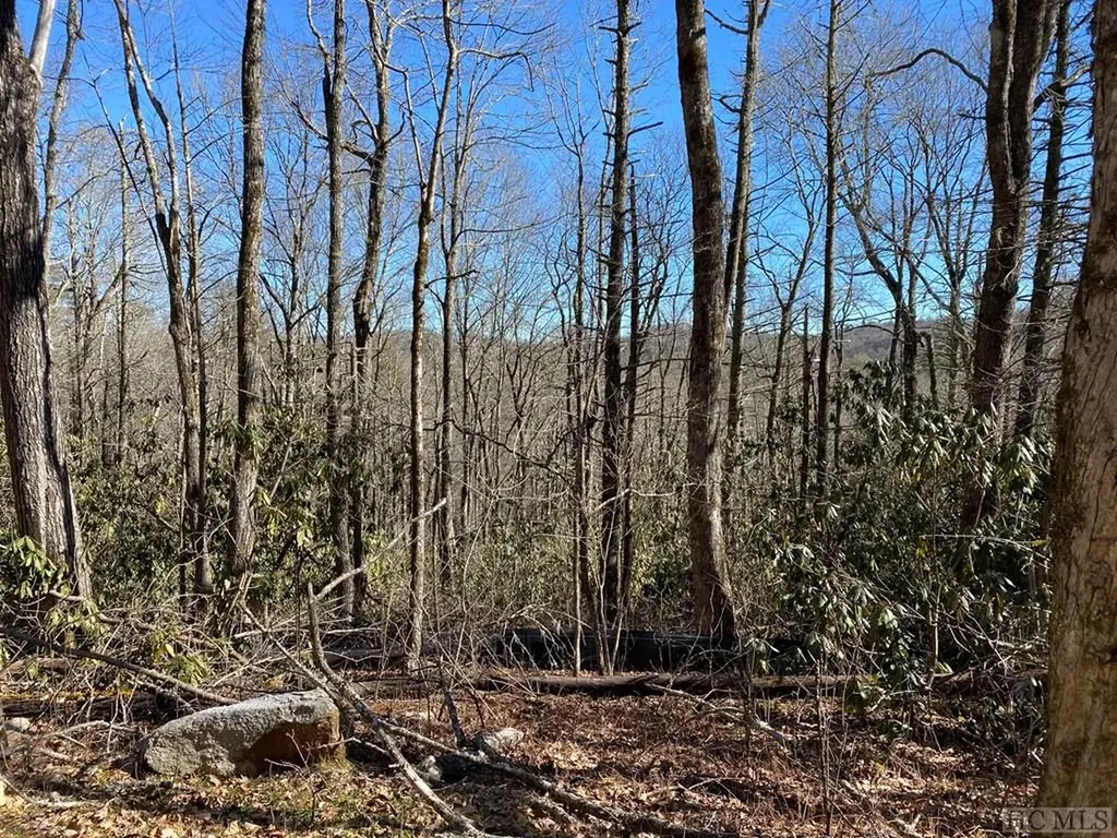 Lot 9 Glencove Drive Cashiers NC 28717
