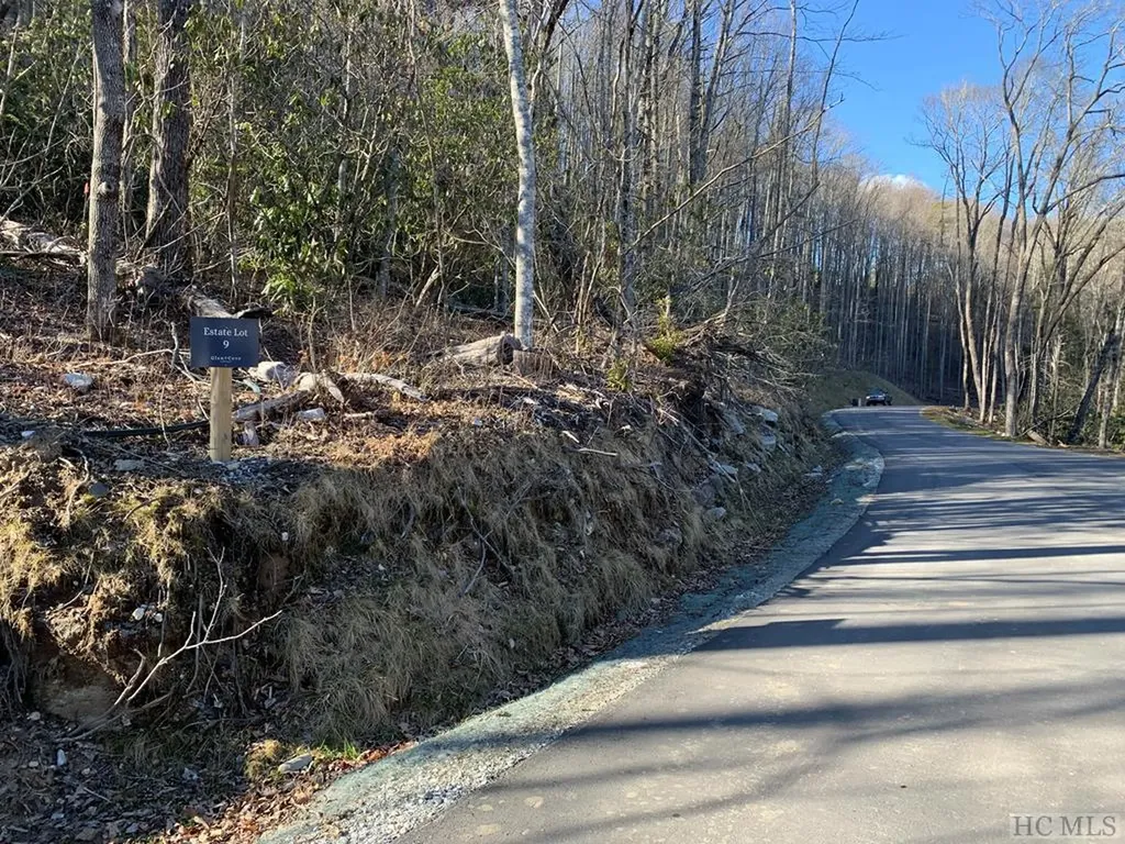 Lot 9 Glencove Drive Cashiers NC 28717