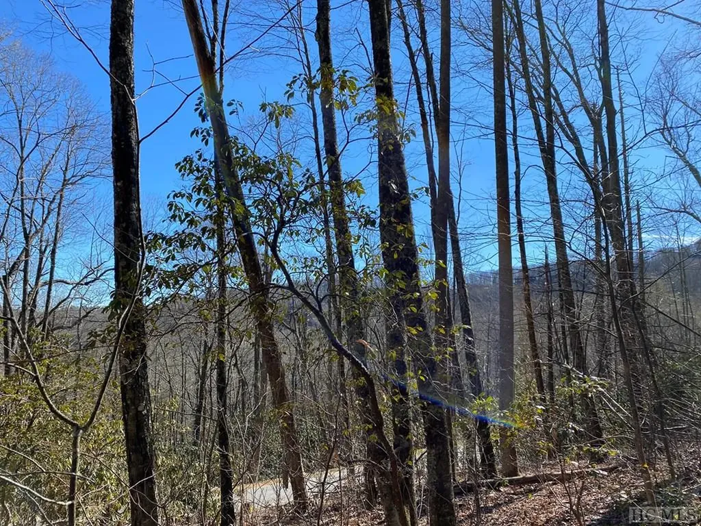 Lot 9 Glencove Drive Cashiers NC 28717