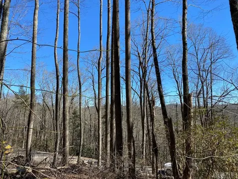 Lot 9 Glencove Drive Cashiers NC 28717