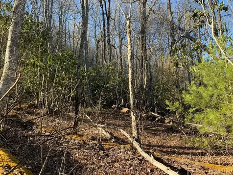 Lot 9 Glencove Drive Cashiers NC 28717