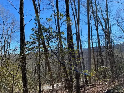 Lot 9 Glencove Drive Cashiers NC 28717