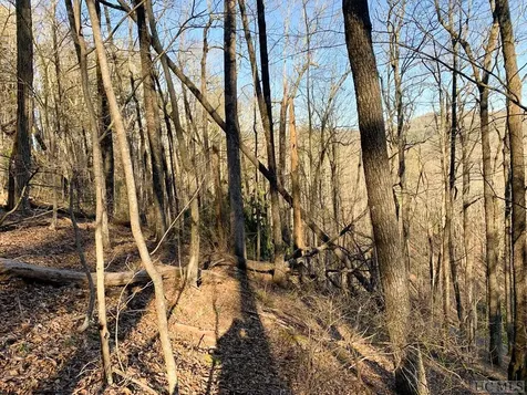 Lot 12 Glencove Drive Cashiers NC 28717