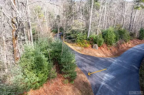 14 Randall Court Sapphire NC 28774