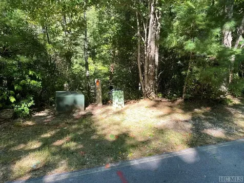 Lot 136 Buckberry N Sapphire NC 28774