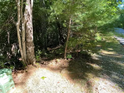 Lot 136 Buckberry N Sapphire NC 28774