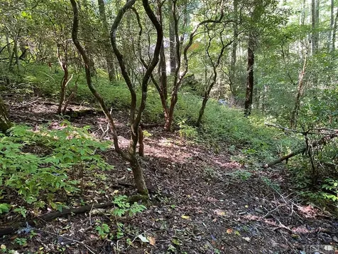 Lot 136 Buckberry N Sapphire NC 28774