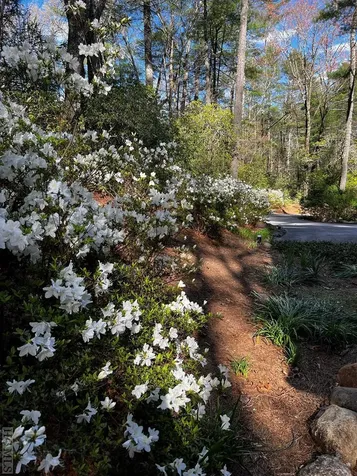 266 Upper Whitewater Road Sapphire NC 28774