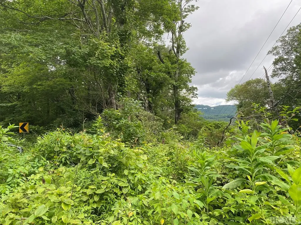 Tbd Dillard Road Highlands NC 28741