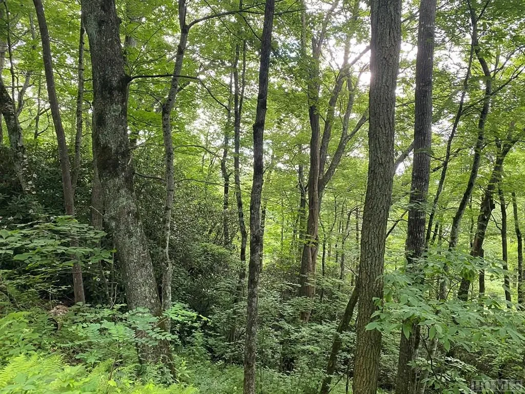 Tbd Dillard Road Highlands NC 28741