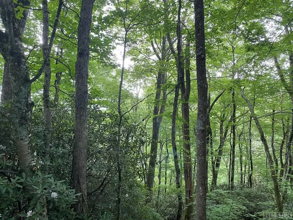 Tbd Dillard Road Highlands NC 28741