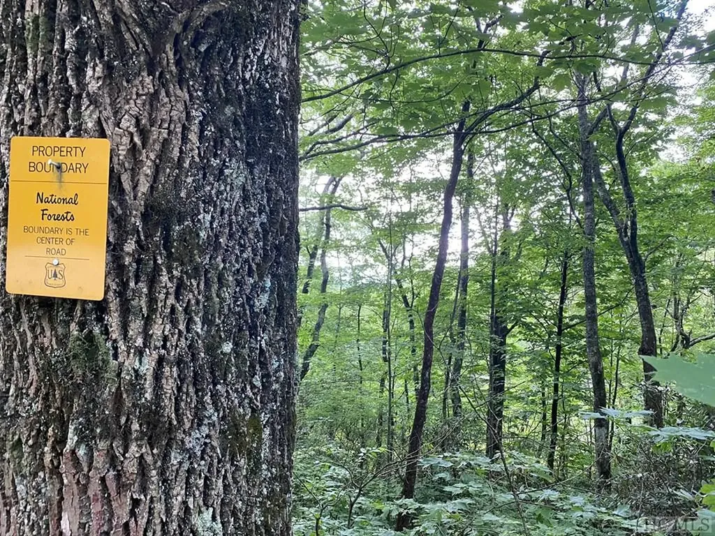 Tbd Dillard Road Highlands NC 28741