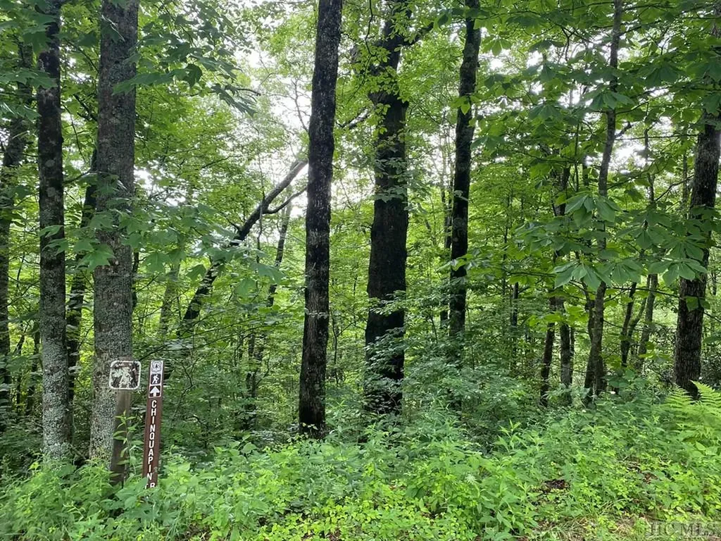 Tbd Dillard Road Highlands NC 28741