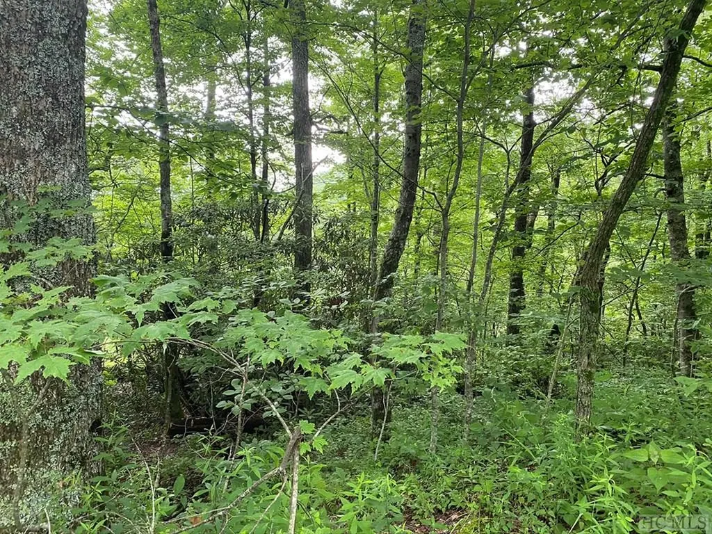 Tbd Dillard Road Highlands NC 28741