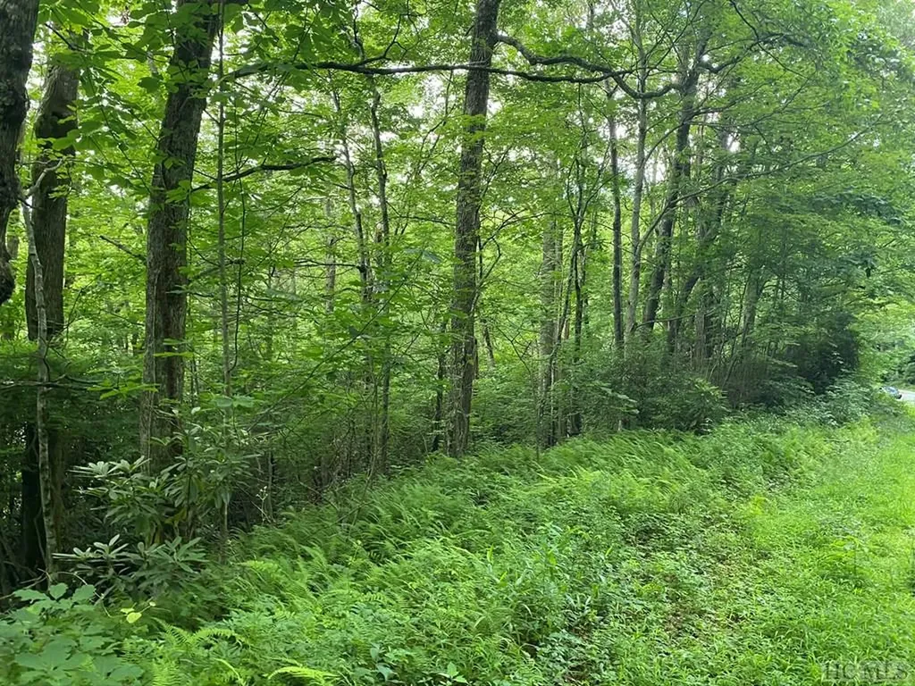 Tbd Dillard Road Highlands NC 28741