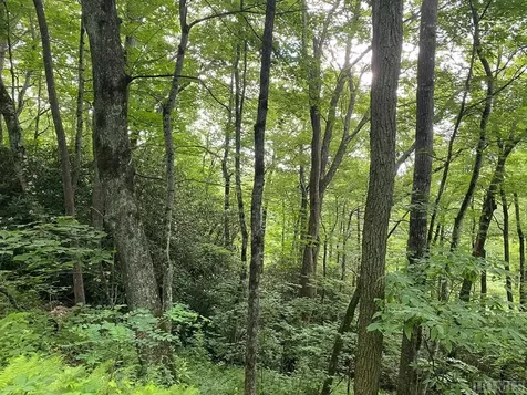 Tbd Dillard Road Highlands NC 28741