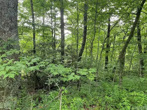 Tbd Dillard Road Highlands NC 28741