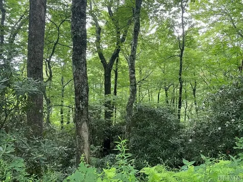 Tbd Dillard Road Highlands NC 28741