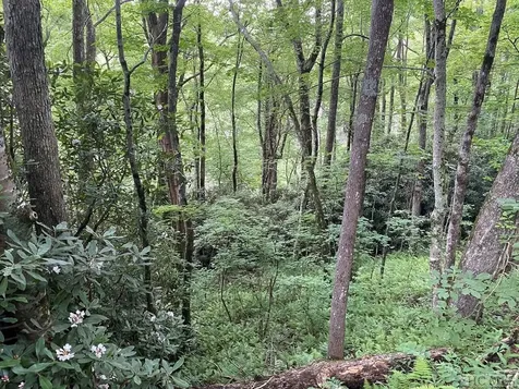 Tbd Dillard Road Highlands NC 28741