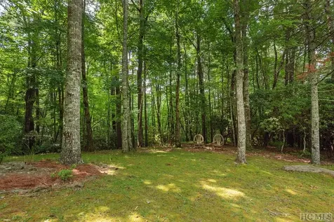 42 Mayapple Drive Sapphire NC 28774