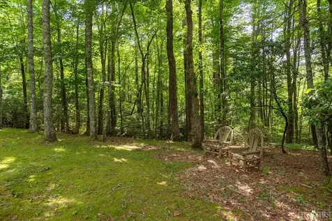 42 Mayapple Drive Sapphire NC 28774