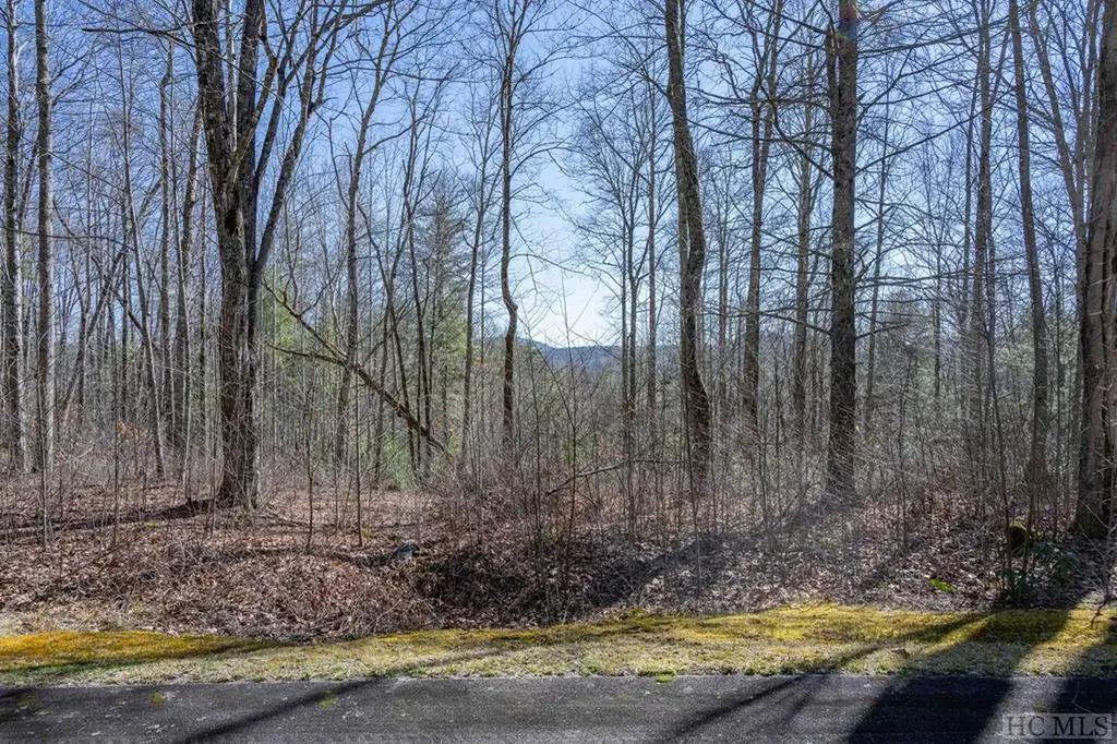 Lot 47 Compass Rose Way Cullowhee NC 28723
