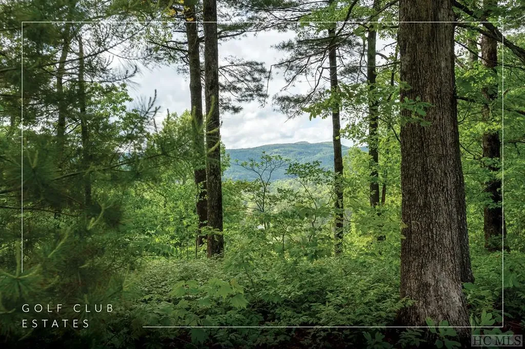 Lot 5a Golf View Road Sapphire NC 28774