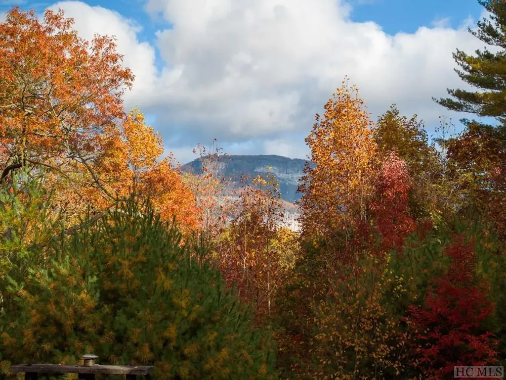 6307 Whiteside Cove Road Highlands NC 28741